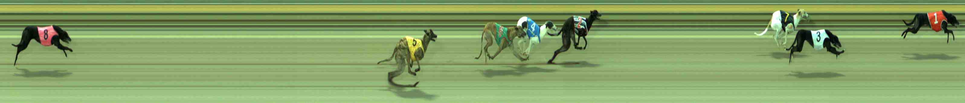 Photo finish for Sale Race 2