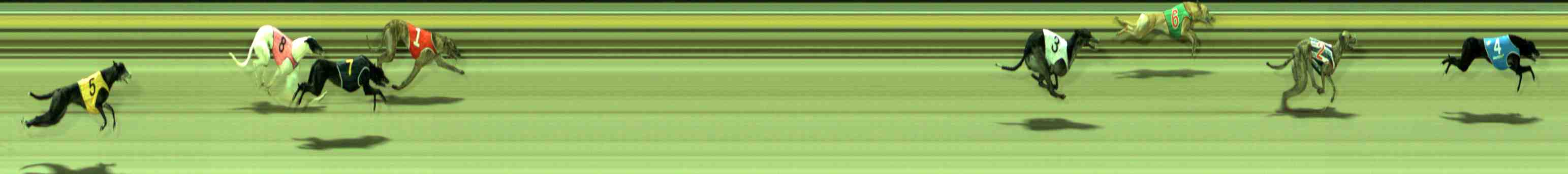 Photo finish for Sale Race 3