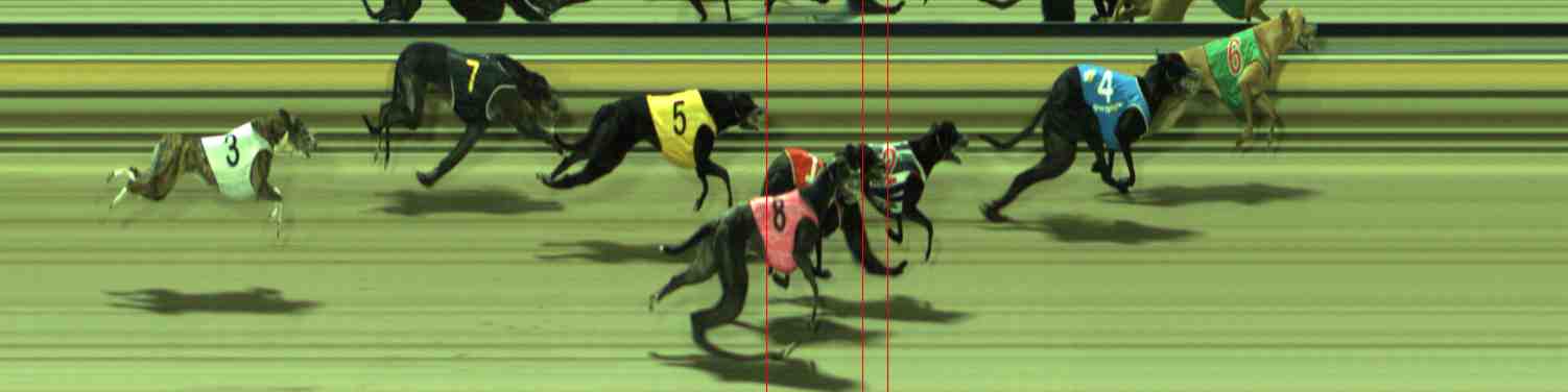 Photo finish for Sale Race 4