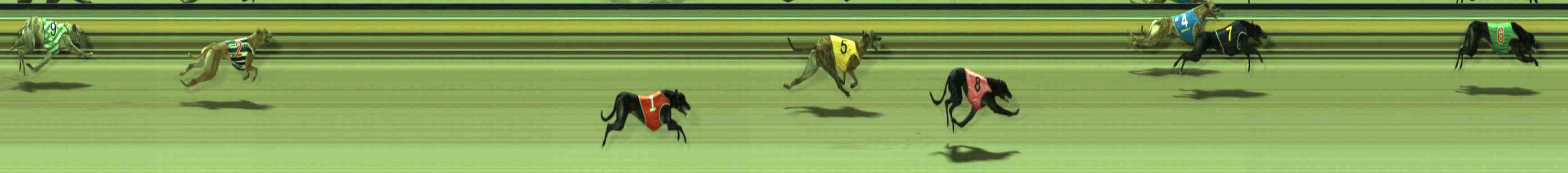 Photo finish for Sale Race 5