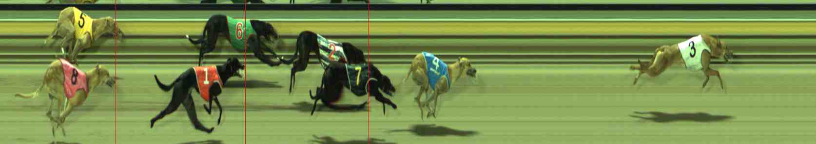 Photo finish for Sale Race 7