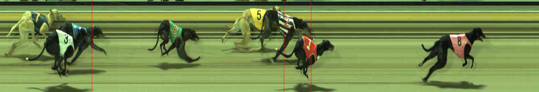Photo finish for Sale Race 8