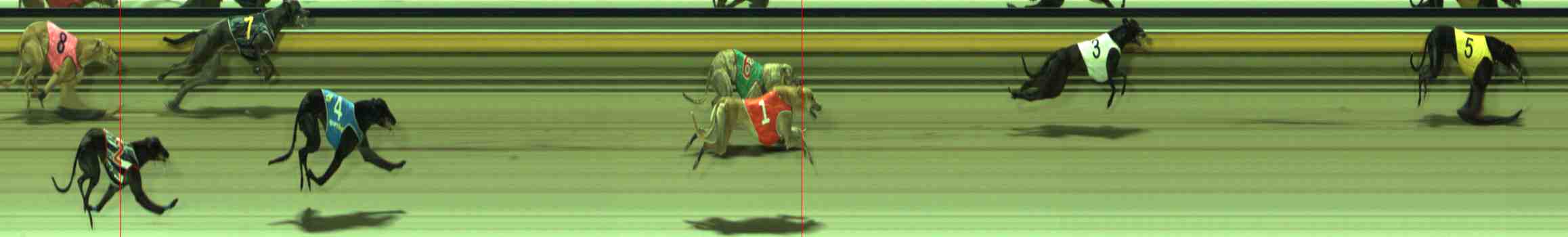 Photo finish for Sale Race 9