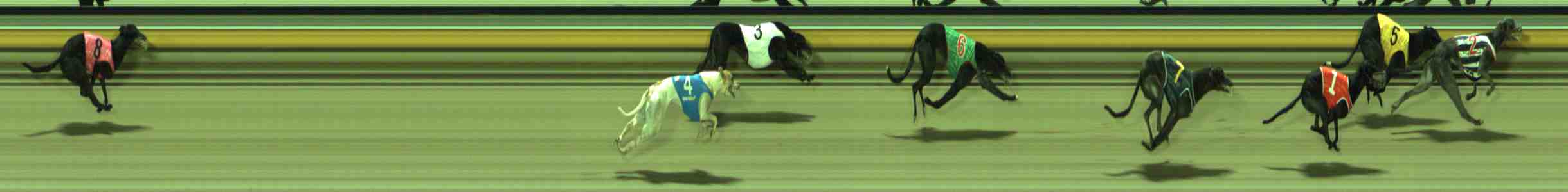 Photo finish for Sale Race 10