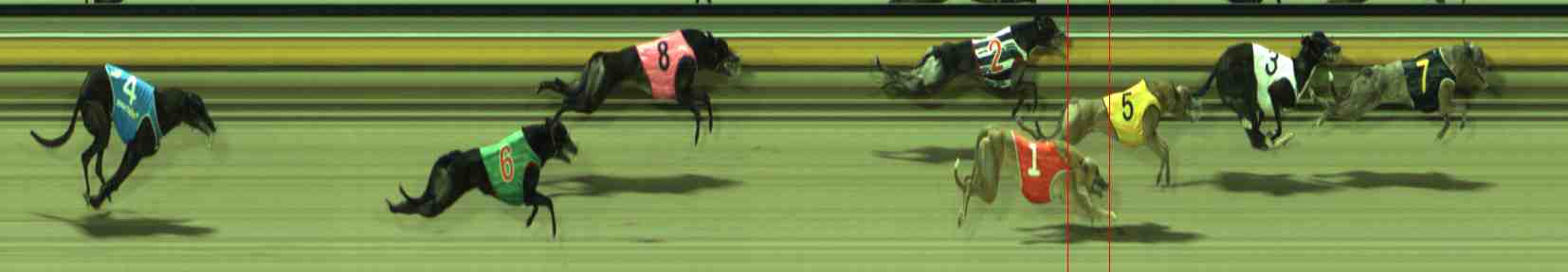 Photo finish for Sale Race 11