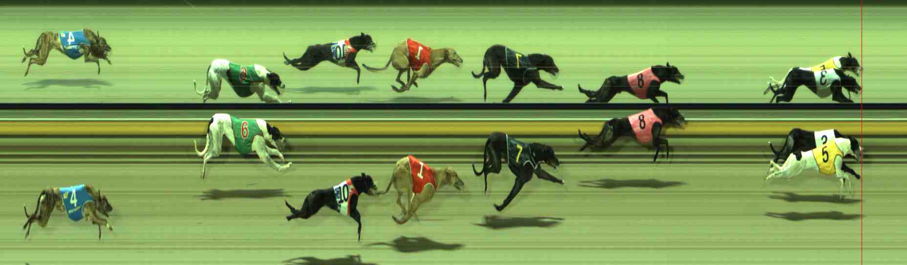 Photo finish for Sale Race 12