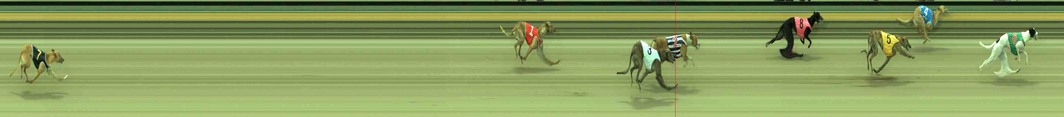 Race result finish photo