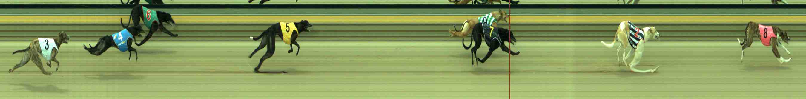 Photo finish for Sale Race 2