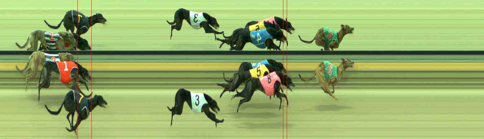 Photo finish for Sale Race 3