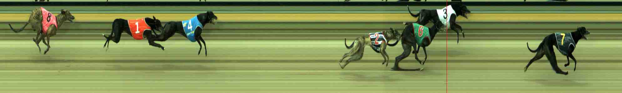 Photo finish for Sale Race 4