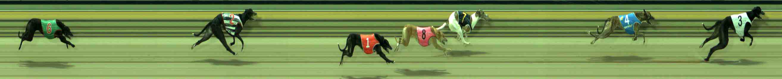 Photo finish for Sale Race 5