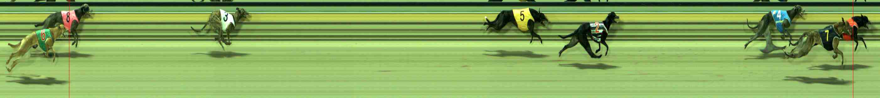 Photo finish for Sale Race 6