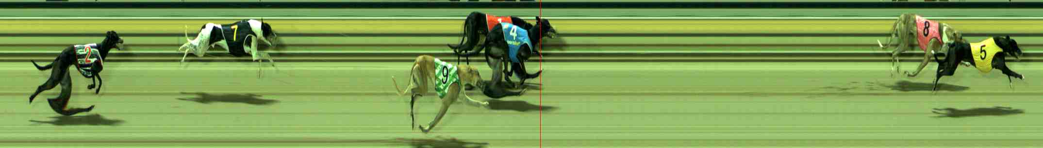 Photo finish for Sale Race 7