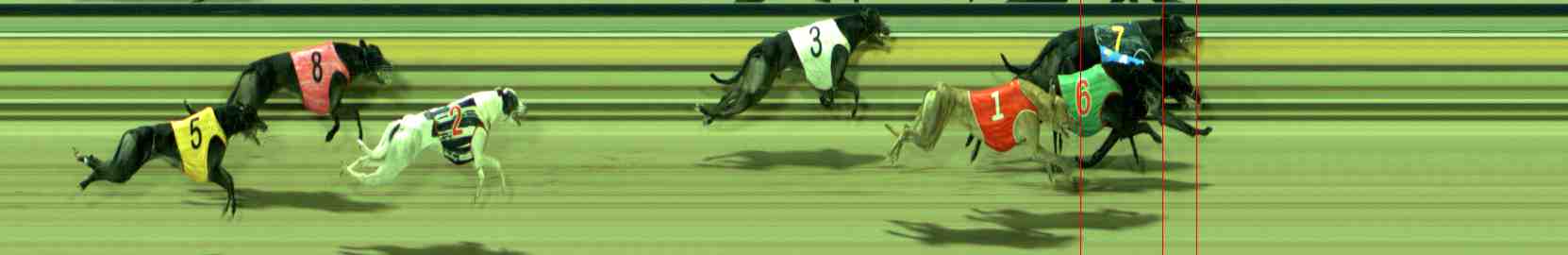 Photo finish for Sale Race 8