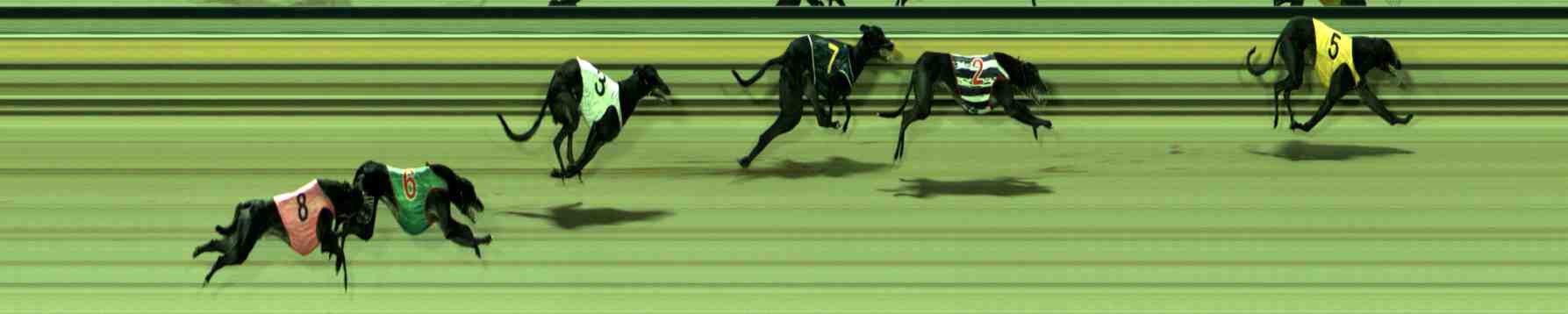 Photo finish for Sale Race 9