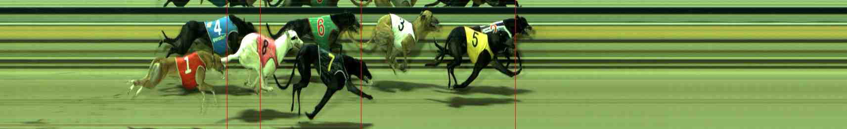 Photo finish for Sale Race 10