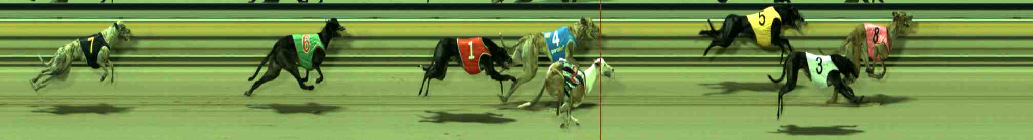 Photo finish for Sale Race 11