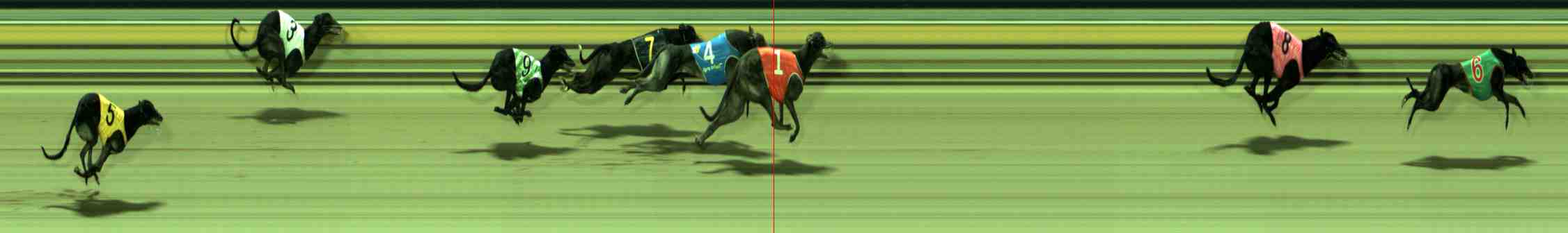 Photo finish for Sale Race 12