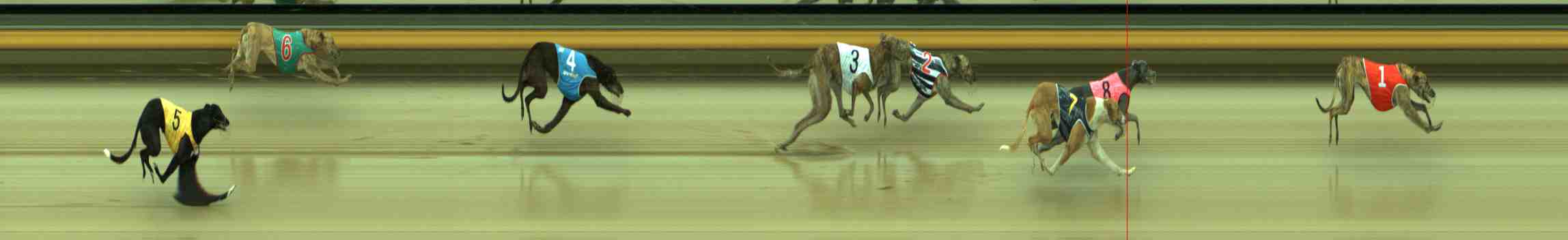 Photo finish for Sale Race 2