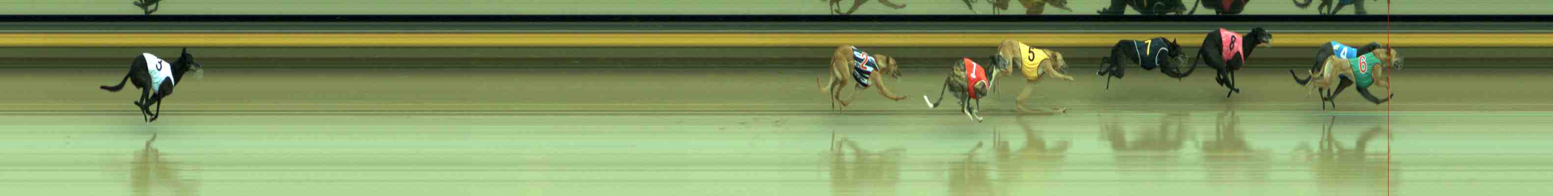 Photo finish for Sale Race 3