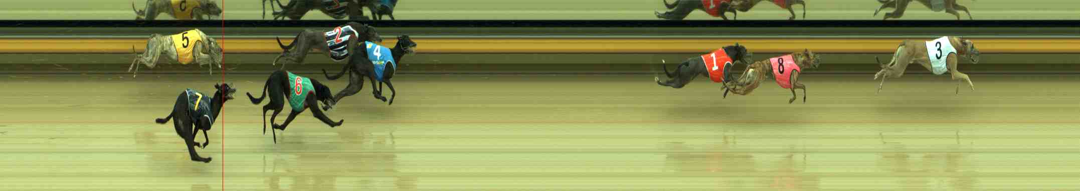 Photo finish for Sale Race 4