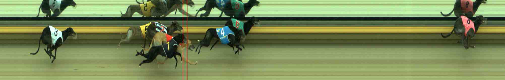 Photo finish for Sale Race 5