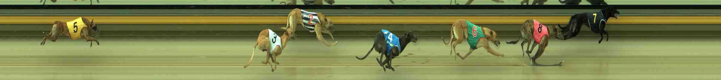 Photo finish for Sale Race 6