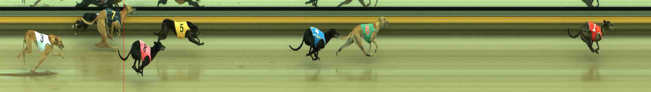 Photo finish for Sale Race 7