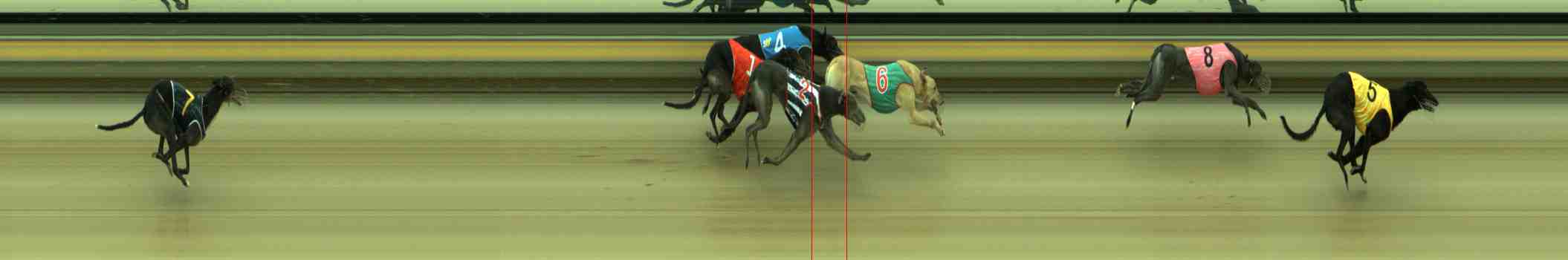 Photo finish for Sale Race 8