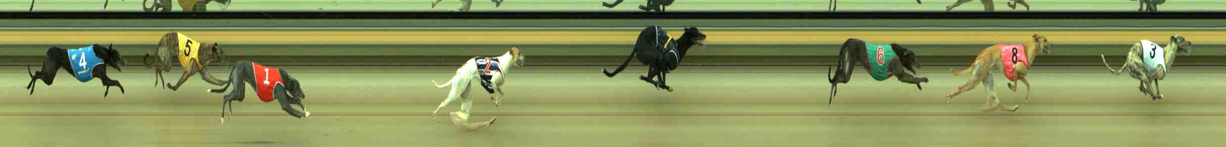 Photo finish for Sale Race 9