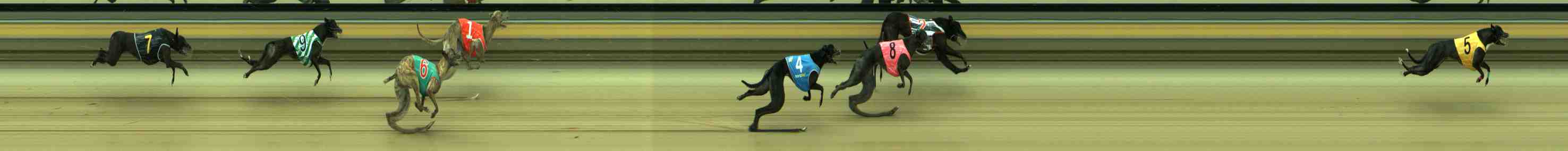 Photo finish for Sale Race 10