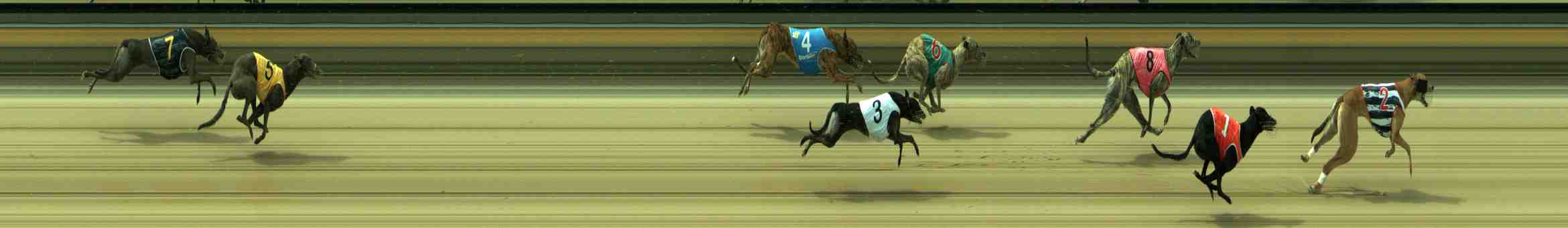 Photo finish for Sale Race 11