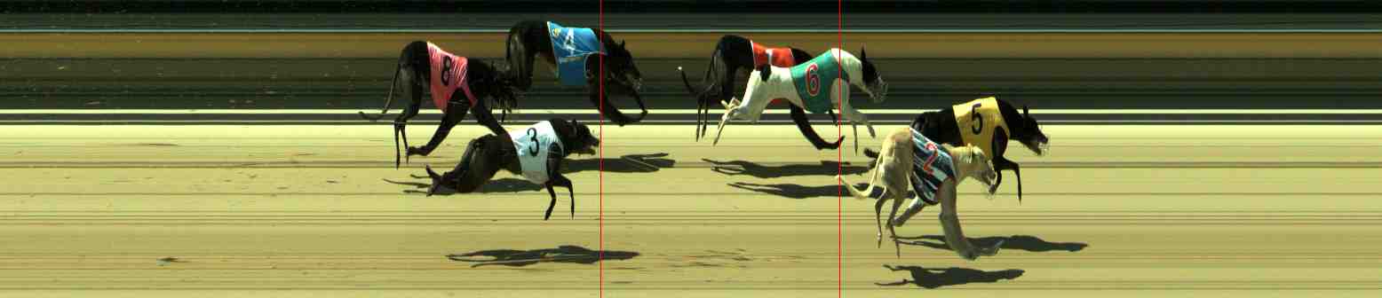 Photo finish for Sale Race 12