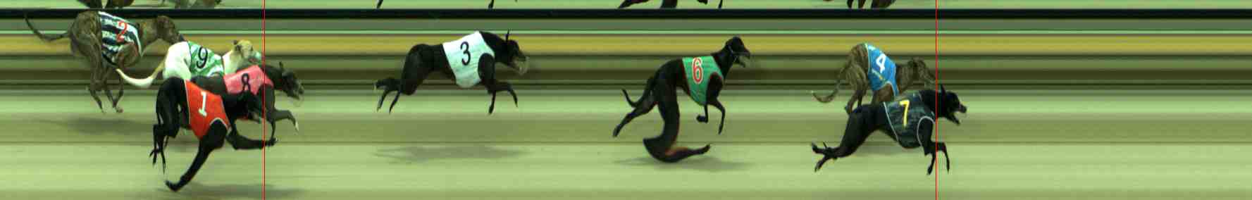 Photo finish for Sale Race 1