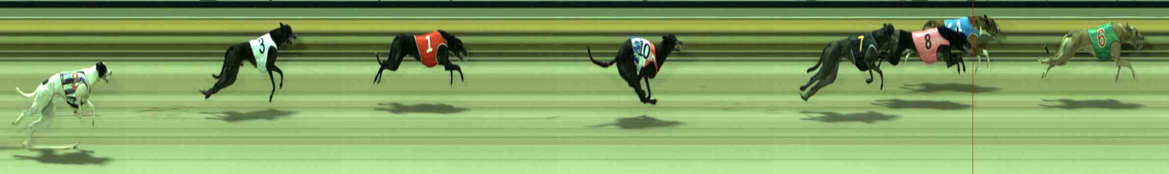 Photo finish for Sale Race 2