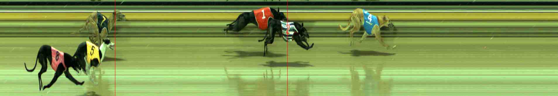 Photo finish for Sale Race 3