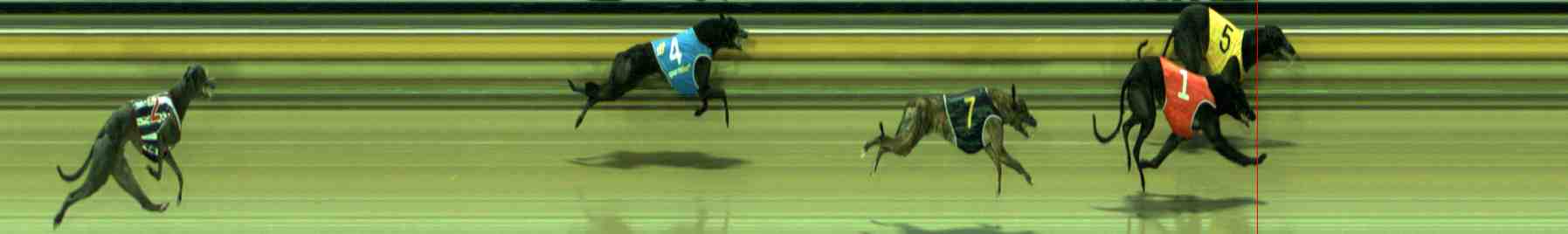 Photo finish for Sale Race 4