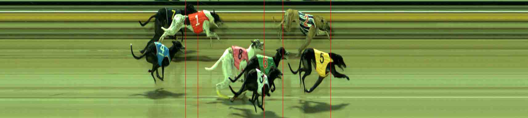 Photo finish for Sale Race 5