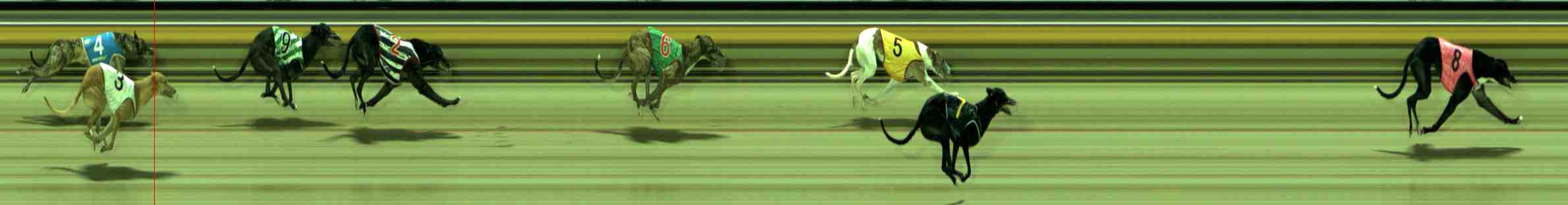 Photo finish for Sale Race 6
