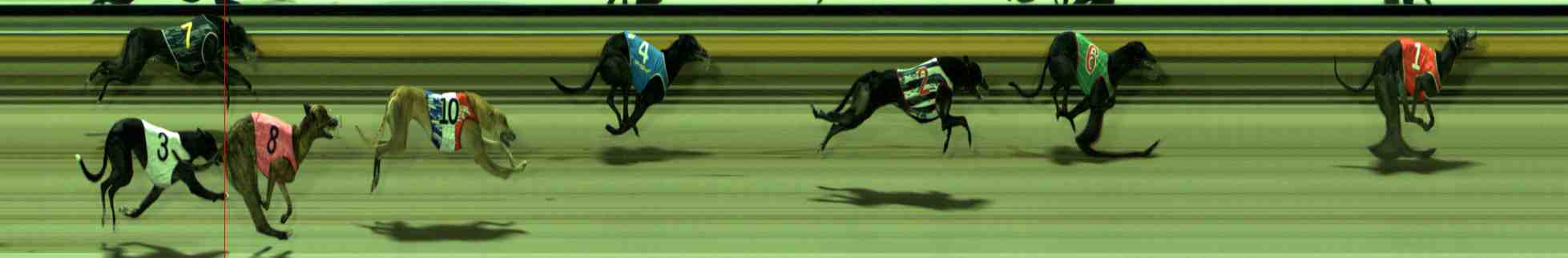 Photo finish for Sale Race 7