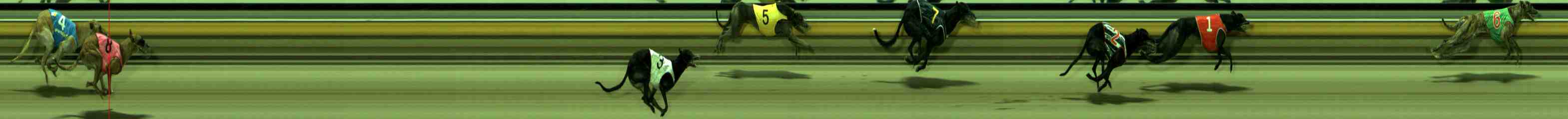 Photo finish for Sale Race 8