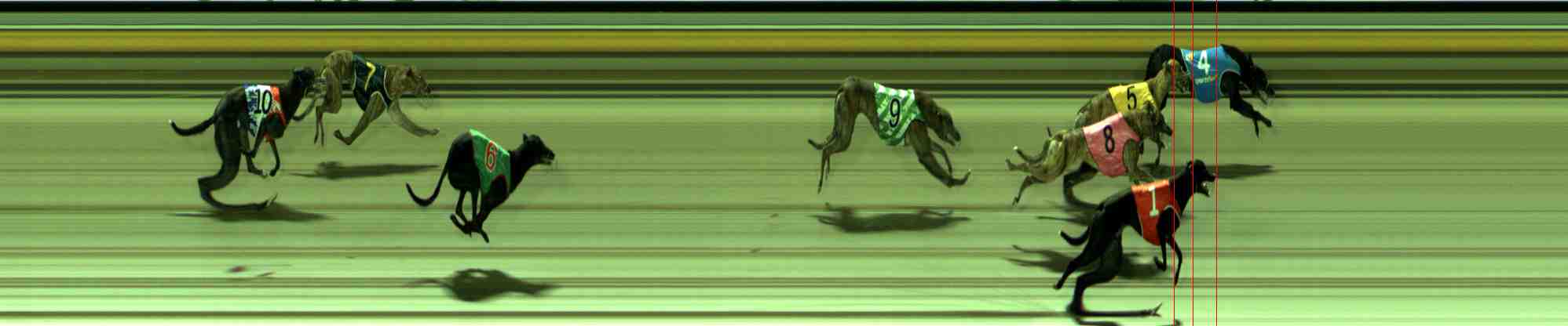Photo finish for Sale Race 9