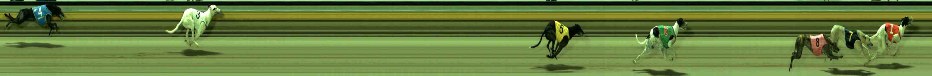 Photo finish for Sale Race 10