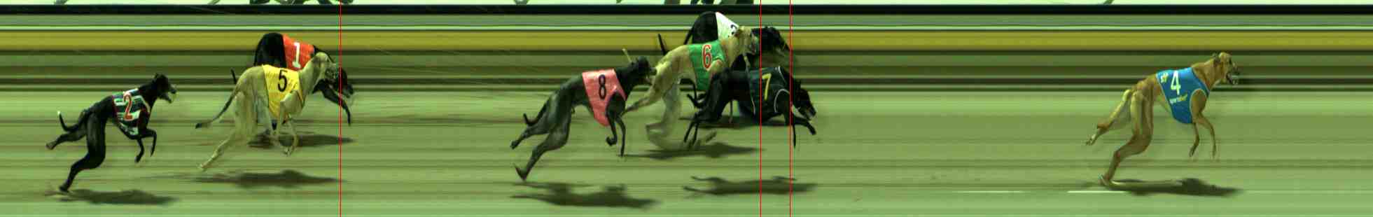 Photo finish for Sale Race 11