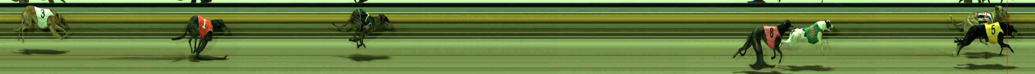 Photo finish for Sale Race 12