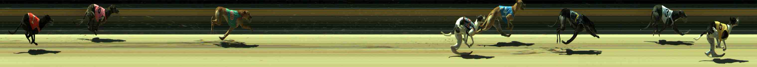 Photo finish for Sale Race 1