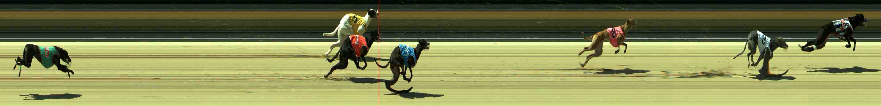 Photo finish for Sale Race 2