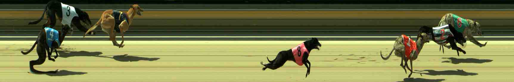 Photo finish for Sale Race 3