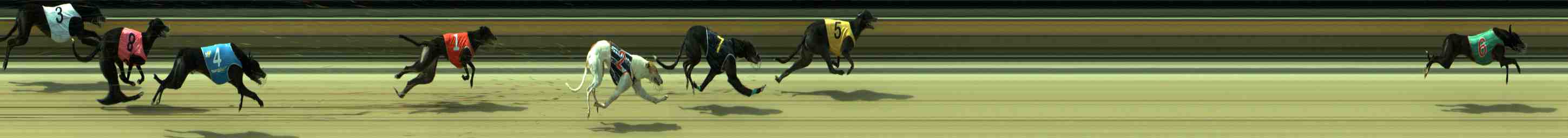 Photo finish for Sale Race 5