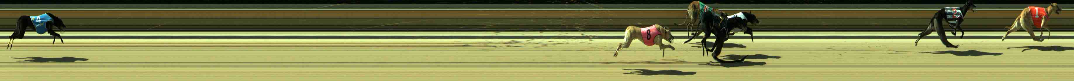 Photo finish for Sale Race 6